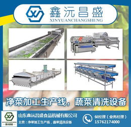 果蔬清洗設(shè)備生產(chǎn)廠家 浙江果蔬清洗設(shè)備 鑫沅昌盛專業(yè)食品機(jī)械