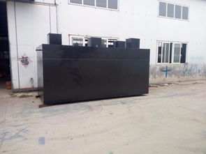 高效潔凈，守護環境 地埋式豆類加工污水處理與洗滌設備解決方案